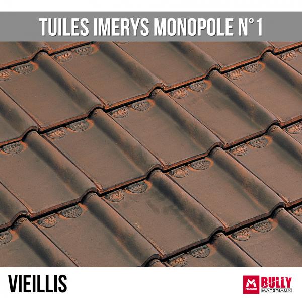 Tuiles imerys monopole 1