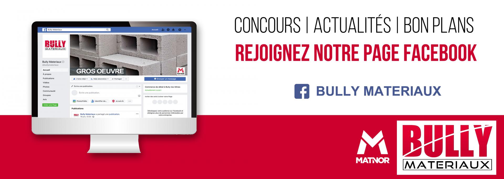 Facebook bully materiaux